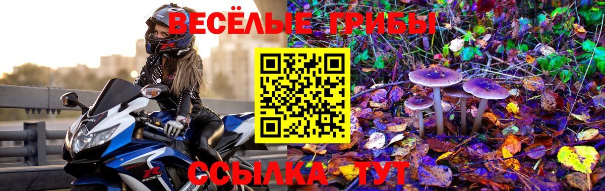 Галлюциногенные грибы Psilocybine cubensis  Псилоцибиновые грибы прущие грибы  Вход с VPN  Видное 